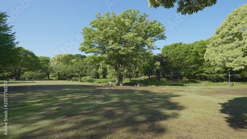 北の丸公園の風景動画