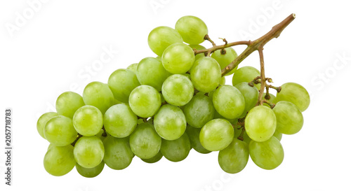 Photography A fresh bunch of plump, ripe green grapes on a vine