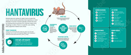 Obraz na płótnie Hantavirus Disease (Hantaviruses) – Rodent-Borne Viral Infection, Symptoms, Prev