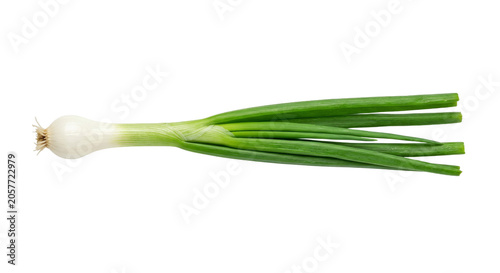 Tableau sur toile Fresh green onion with vibrant green stalks and white bulb on a clean white back