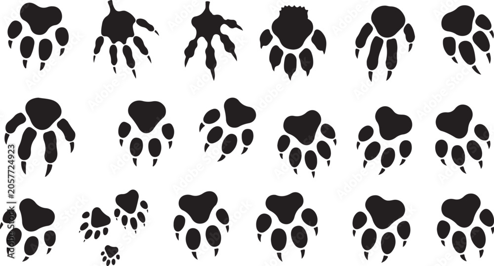 Fototapeta premium A collection of high-contrast black vector paw prints, featuring various animal track patterns, perfect for wildlife-themed design, educational materials, or outdoor-inspired branding.