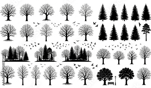 Cuadro en lienzo Winter forest tree and bird silhouette vector pack with leafless woodland design
