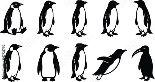 Photos Penguin Vector Silhouette Icon Set with Antarctic Wildlife Characters in Various
