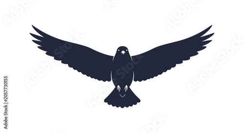 Tableau sur toile Silhouette of a Bird in Flight.