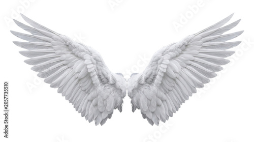 Wings with Feathers Spread Out in a Symmetrical Pattern, Depicted in a White and Grey Color Scheme, Symbolizing Freedom and Spirituality