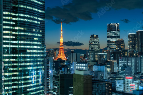 Tokyo skyline with Tokyo Tower at night, Tokyo, Japan