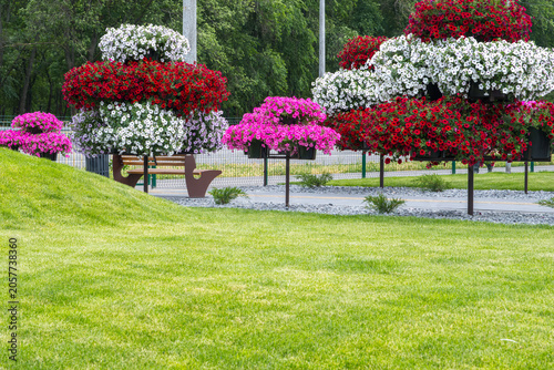 Green lawn with colorful tiered flower beds and ornamental shrubs in urban landscaping
