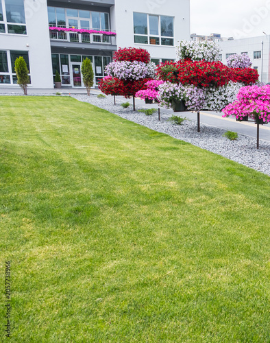 Modern residential landscaping with green lawn, colorful flower beds and apartment building