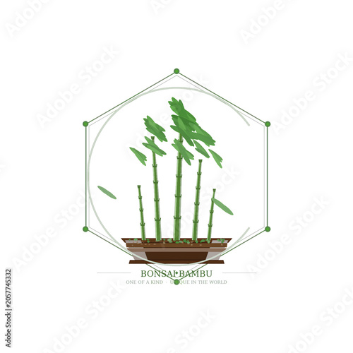 Minimalist Bonsai Bamboo Illustration with Geometric Frame