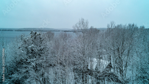 A beautiful eye-level drone shot looking through the frosted branches of a dense winter deciduous forest, revealing a vast open lake body and distant rolling hills under a grey gloomy sky.
