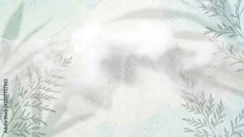 Ultra thin white vapor mist drifting over botanical shadow loop / 繊細な植物の影をかすめるように流れる極薄の白いミスト抽象ループ2