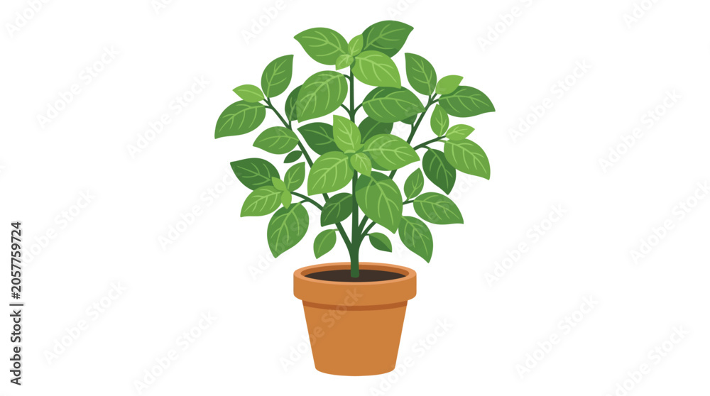 Fototapeta premium A potted green plant with vibrant leaves sits on a plain white background in a terracotta pot.