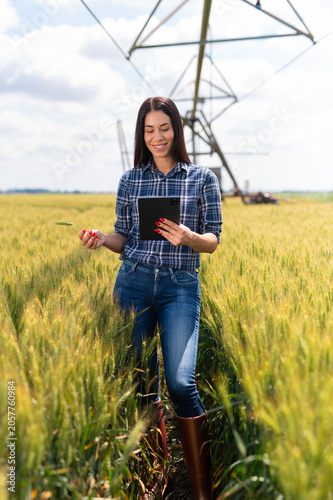 Woman farmer checking crop conditions with tablet