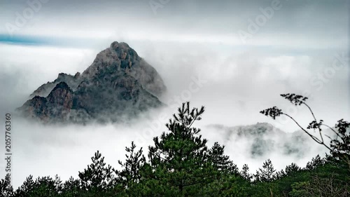 Misty Mountain Peak Above Clouds and Pine Forest in Huangshan China in Huangshan, Anhui, China