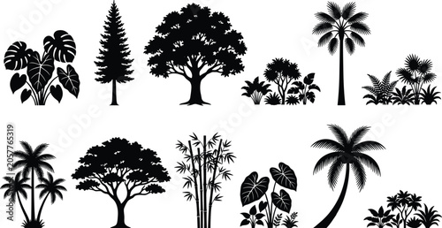 Tableau sur toile Tropical and subtropical plant silhouette collection with palm, bamboo, conifer,