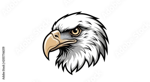 Close up portrait of a majestic bald eagle head.