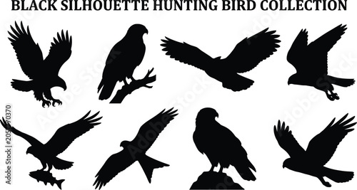 Schilderij op canvas Collection of black silhouettes of hunting birds of prey including eagles hawks