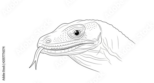 Schilderij op canvas Detailed illustration of a lizard head.