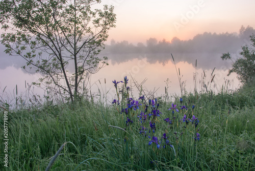 Bild auf Leinwand A serene misty sunrise over a calm lake, featuring a lone tree and vibrant purpl