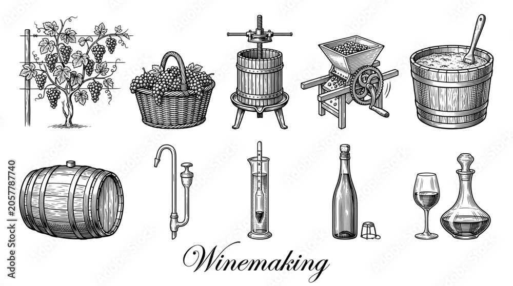 Fototapeta premium Winemaking process and equipment vector illustration set featuring grapevine, wine press, wooden barrel, bottle and glass in vintage engraving style.