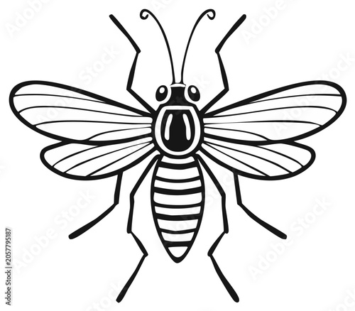 Stylized bee or wasp insect top down view black and white line art illustration