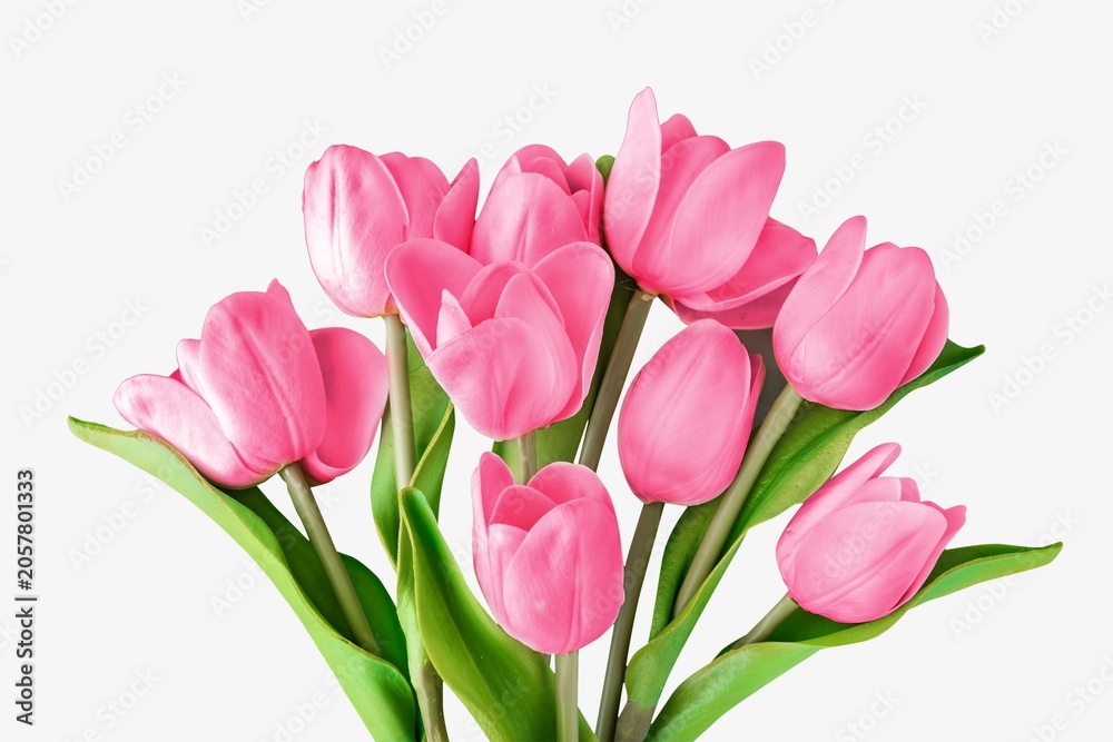 Obraz premium Pink tulip bouquet image, spring aesthetic