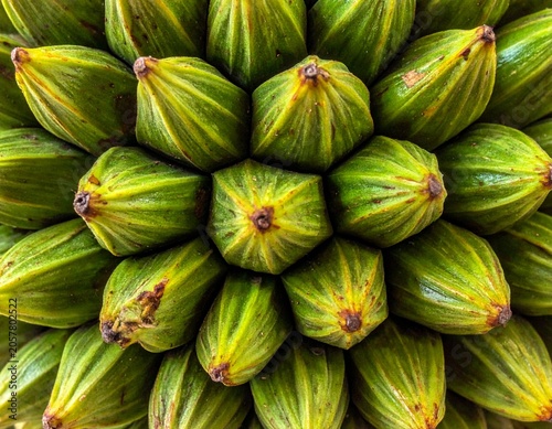 Intricate close-up macro photography of a vibrant green Nipa palm fruit cluster, showcasing geometric hexagonal patterns, natural textures, and organic beauty.