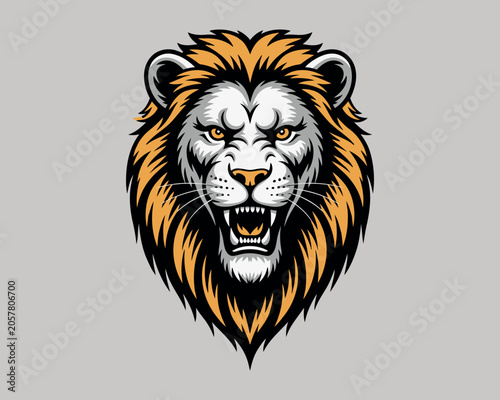 Lion head logo icon, lion face vector illustration.
