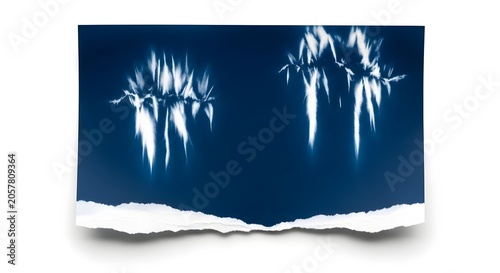 Abstract cyanotype palm trees diptych on torn paper minimalist botanical wall art