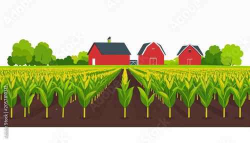 Expansive cornfield stretches towards red barns and lush green trees under a white sky