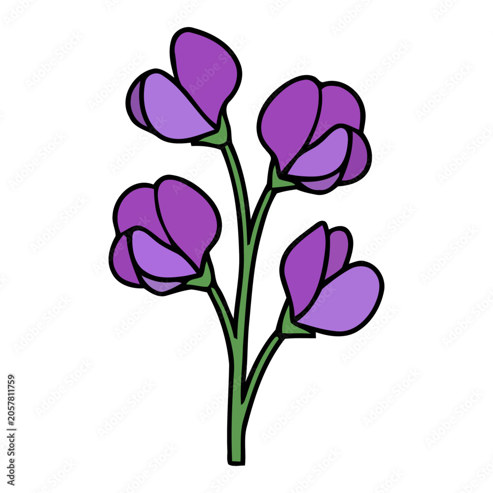 Fototapeta premium Purple Sweet Pea Clipart: Single Botanical Line Art