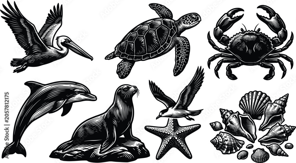 Obraz premium Set of detailed monochrome marine animal illustrations including sea turtle dolphin crab and seashells in vintage woodcut style