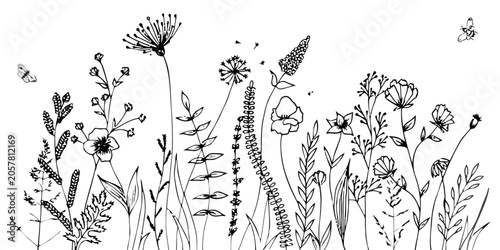 Hand-drawn wildflower meadow sketch, botanical line art illustration