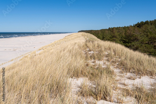 Wierzchucino dunes and beach. Baltic Sea. Wierzchucino. Poland