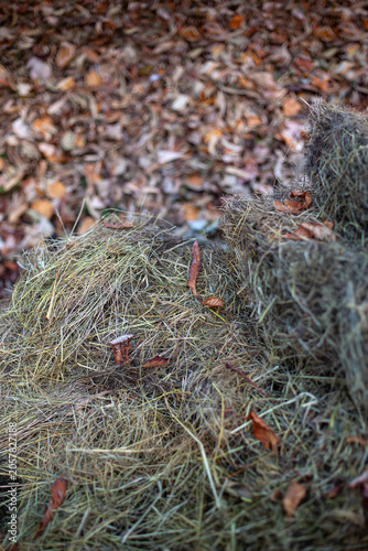 Natural ingredients for preparing compost