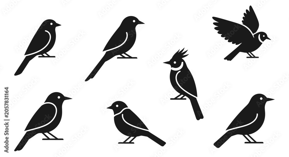 Obraz premium Black silhouettes of various birds on white background
