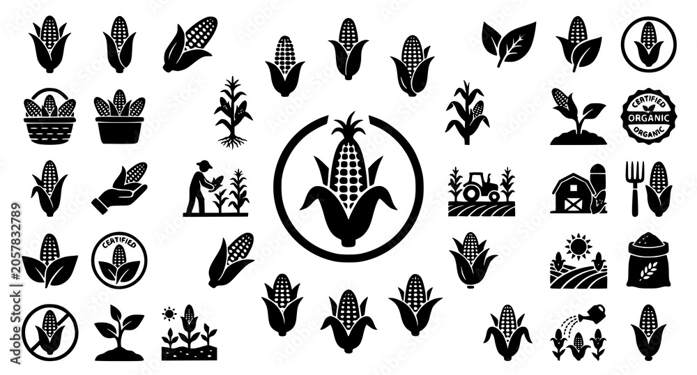Obraz premium Simple Corn and Maize Silhouette Icon Collection with Farm Harvest and Agricultural Symbols Vector