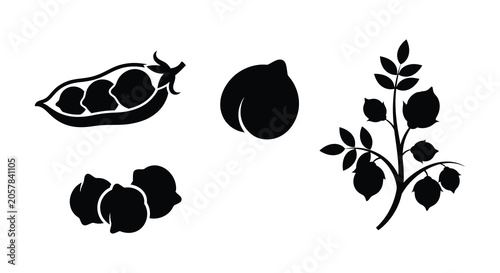 Φωτογραφία Pea pod peach cotton boll and branch silhouettes in a black and white compositio