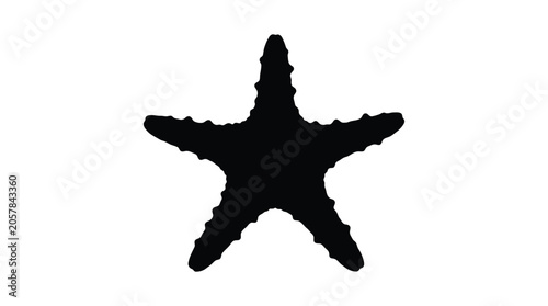 Tableau sur toile Starfish Silhouette On White Background Marine Invertebrate Shape