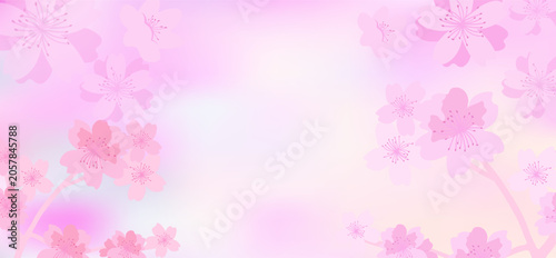 Japanese sakura flowers frame on soft spring background.