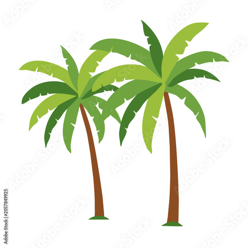 Palm trees isolated on white background. Vector illustration in flat minimal style. Tropical plant element for summer design, travel advertising, posters, web banners, prints and decorative layouts.