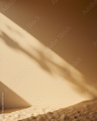 Golden Wheat Light Background