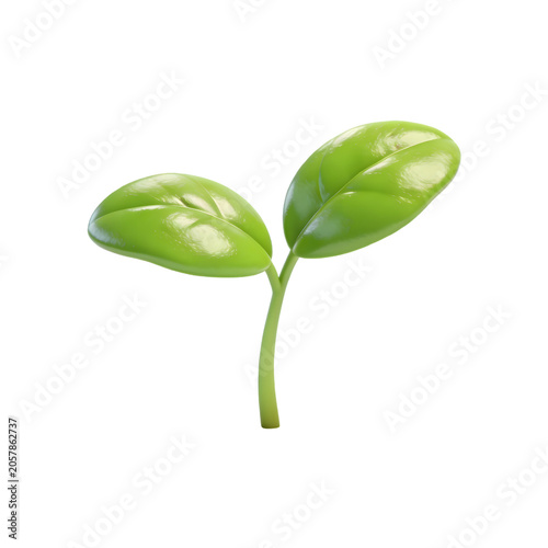 Fresh Green Seedling with Two Leaves Growing from a Thin Stem Isolated on White Background, Symbolizing Growth, Nature, and Beginning of Plant Life