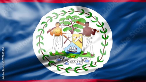 Coat of arms emblem of Belize waving on flag with tropical leaves and shield design in vibrant colors