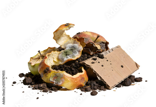 Decayed Apple Core and Moldy Rind with Soil and Container on White Background, Showing Organic Decomposition of Fruit in a Close-Up