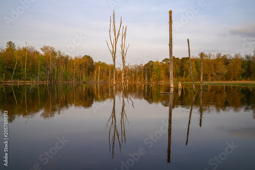 Mystic lake, Bottrop, North Rhine Westphalia, Germany