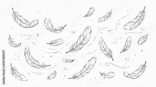 Lightweight Floating Feathers Hand Drawn Doodle Illustration