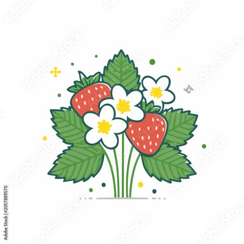 Red poppy flower vector illustration