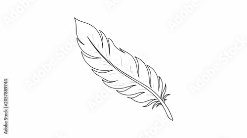 Minimalist Hand drawn Feather Illustration on White Background