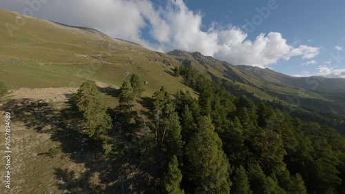 FPV drone video gliding along a mountain meadow above a pine forest, revealing rolling alpine slopes, rocky terrain and broad cloud filled sky in a dynamic summer landscape scene
